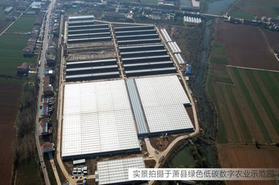 总投资6亿元！江苏绿港又一现代化设施农业园即将建成运营，助力旅游高质量发展
